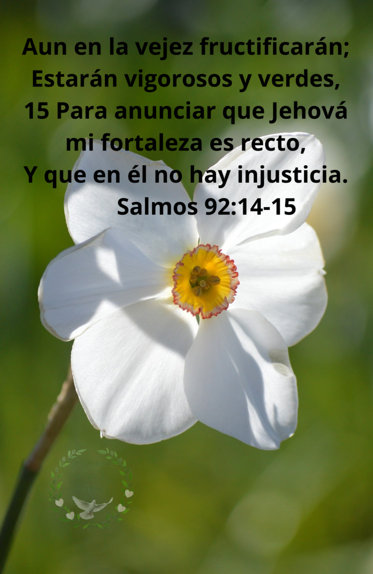 Salmos 92:14-15