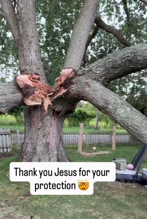 “Jesús protegió a nuestra familia”: Pastor glorifica a Dios por salvarle de un árbol que casi destruye su casa